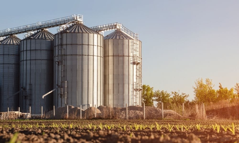 Silos de grano al atardecer en una planta agroalimentaria de Monterrey atendida por Orkin